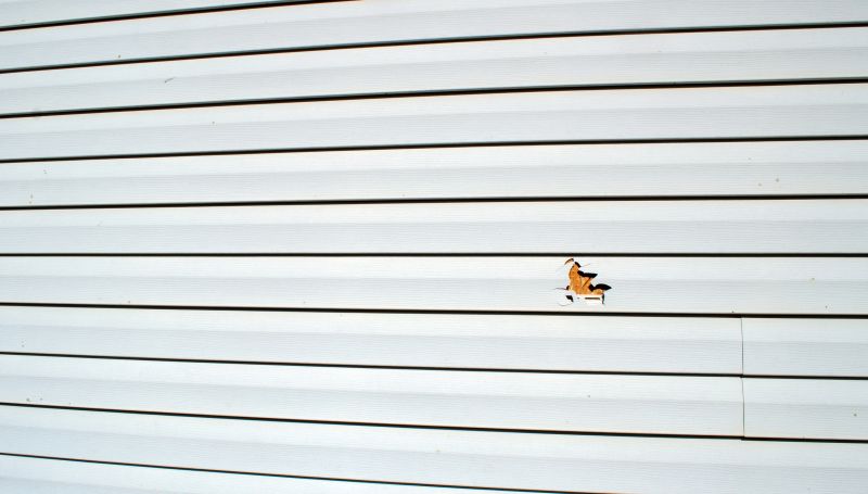 Patch and Seal Damage